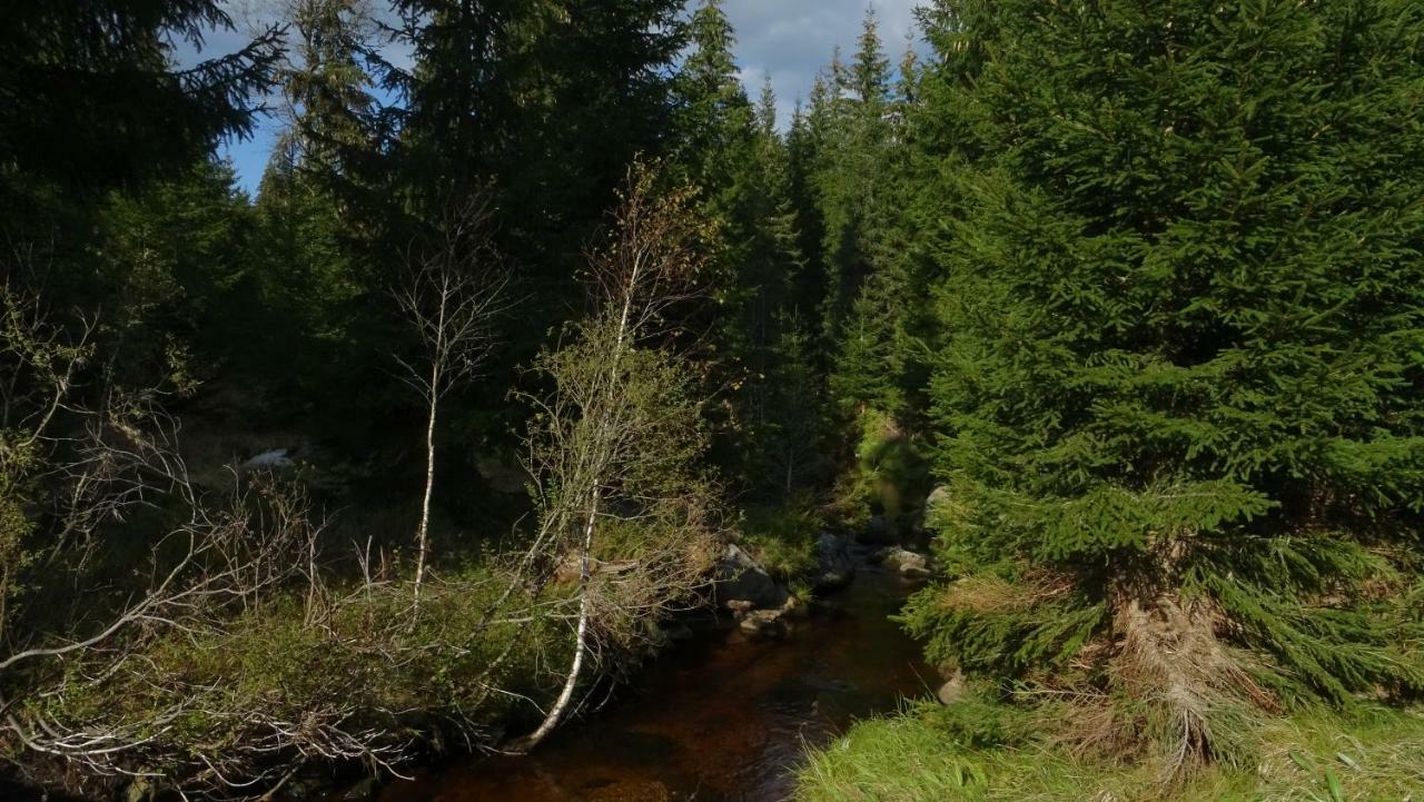 Apartment Almberg Mitterfirmiansreut Zewnętrze zdjęcie