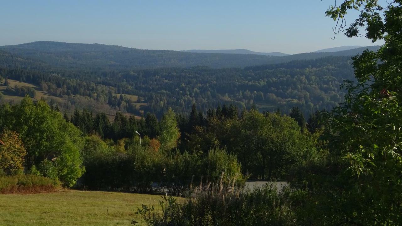Apartment Almberg Mitterfirmiansreut Zewnętrze zdjęcie